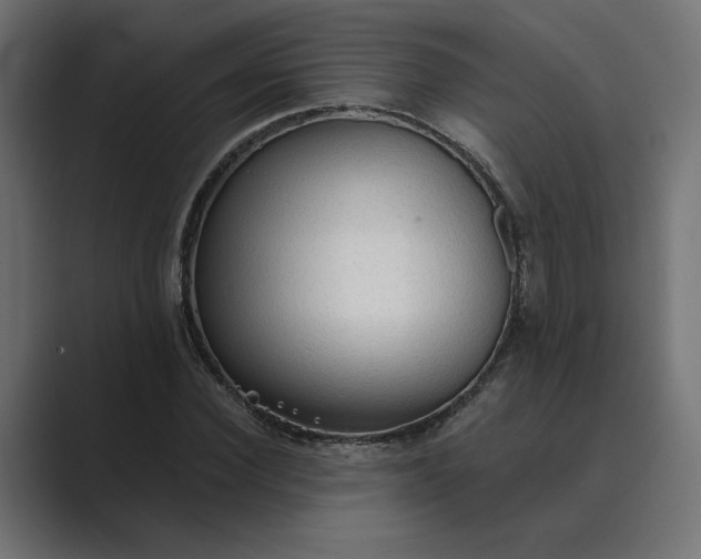 X0000089380924200706291314