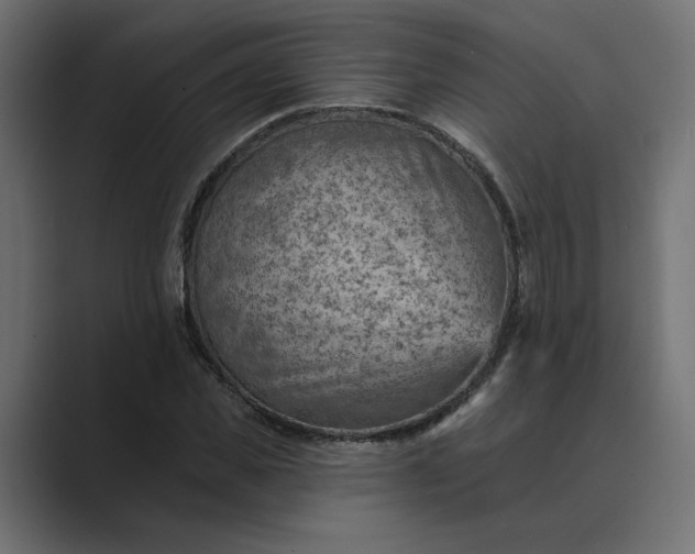 X0000089380925200706291314