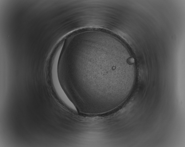 X0000089380926200706291314