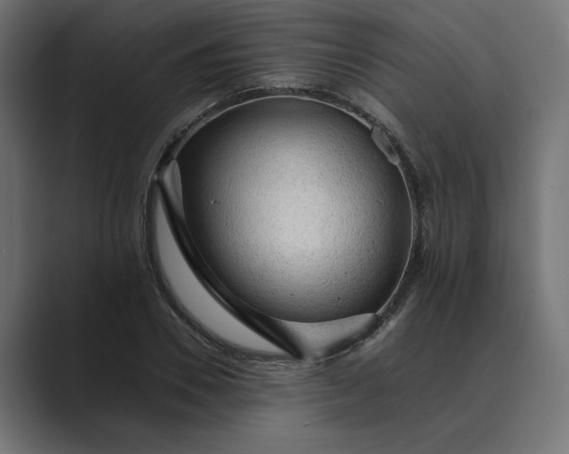 X0000089380930200706291314