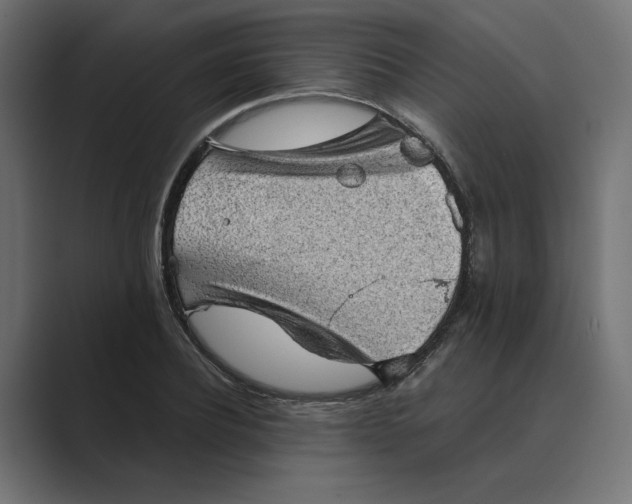 X0000089380932200706291314