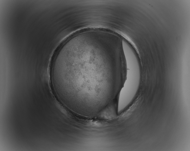 X0000089380935200706291314