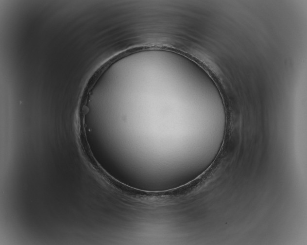 X0000089380936200706291314
