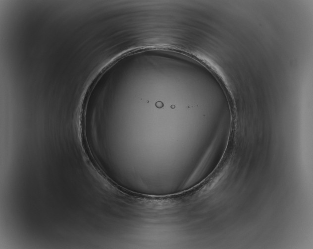 X0000089380941200706291314