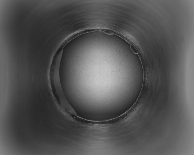 X0000089380942200706291314