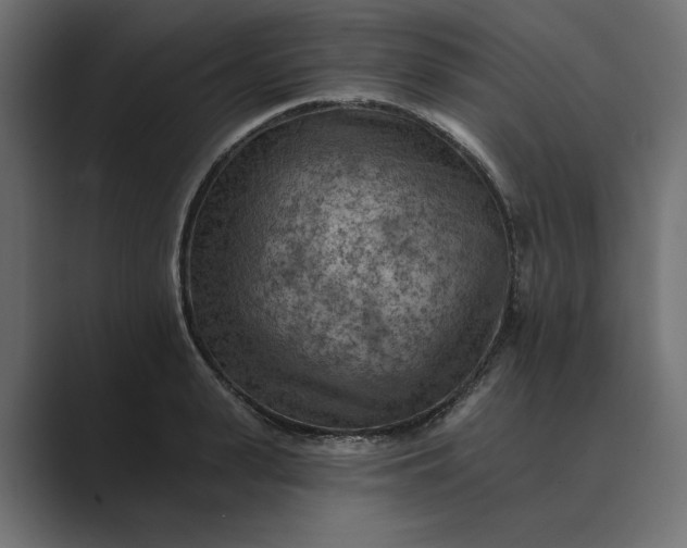 X0000089380943200706291314