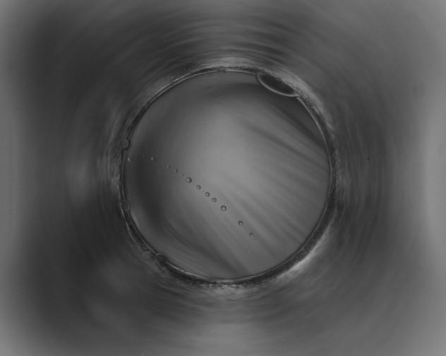 X0000089380945200706291314