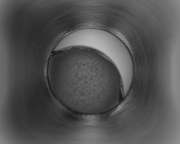 X0000089380946200706291314