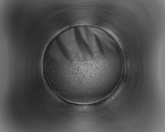 X0000089380949200706291314