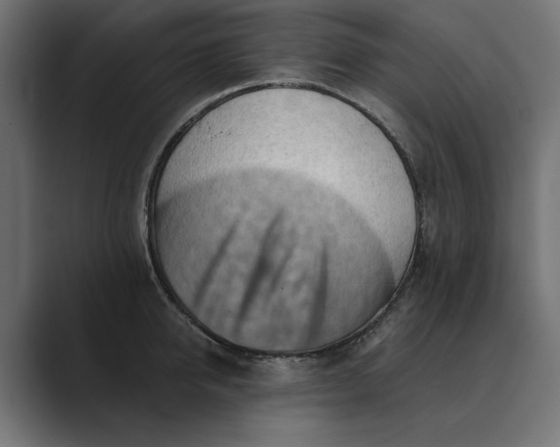 X0000089380950200706291314