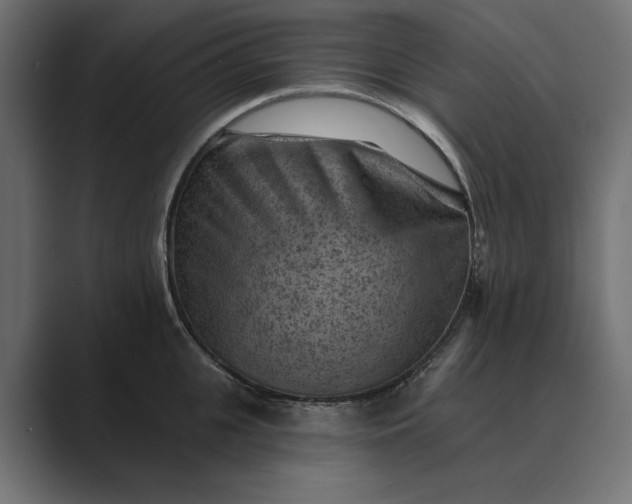 X0000089380951200706291314