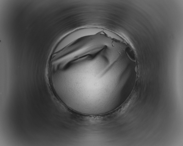 X0000089380952200706291314
