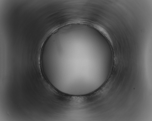 X0000089380954200706291314
