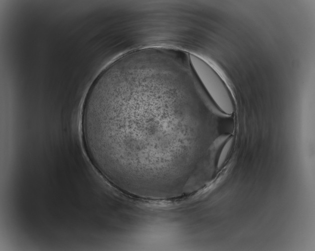 X0000089380957200706291314