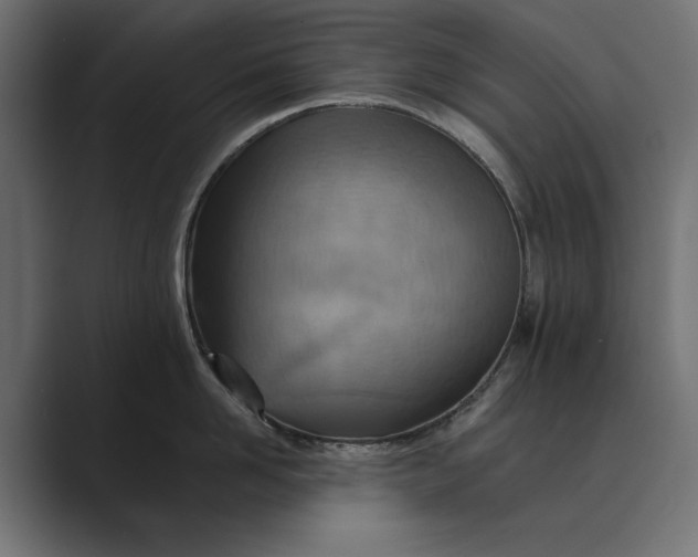 X0000089380958200706291314