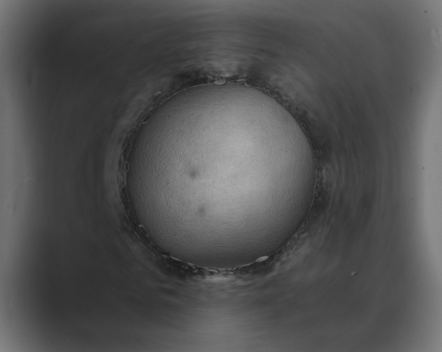 X0000089380961200706291314
