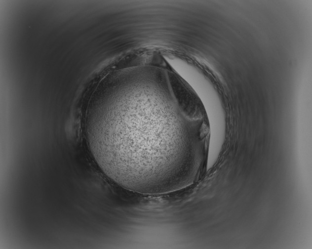 X0000089380968200706291314