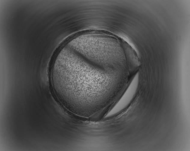 X0000089380972200706291314