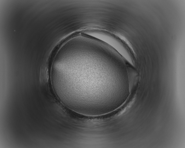 X0000089380973200706291314