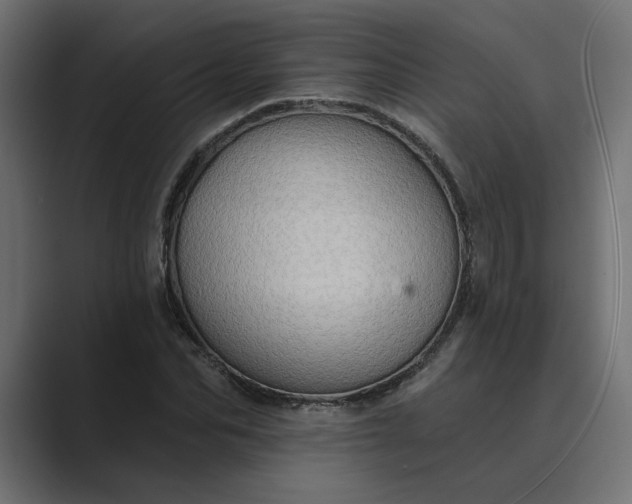 X0000089380974200706291314