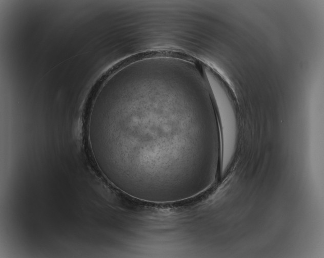 X0000089380975200706291314