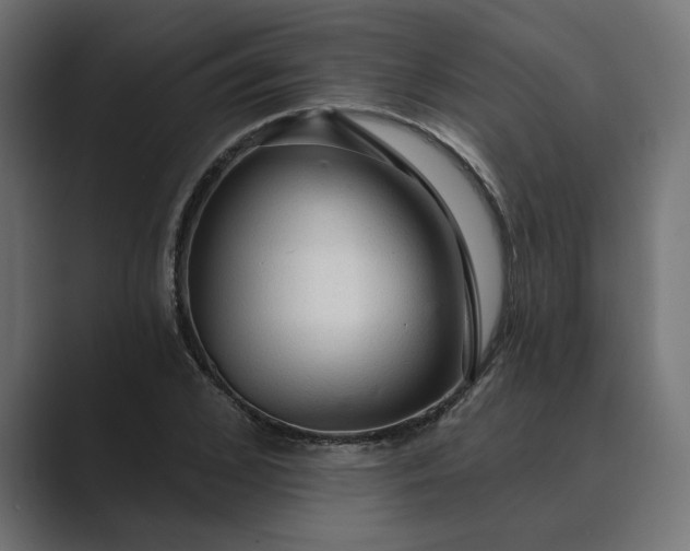X0000089380976200706291314