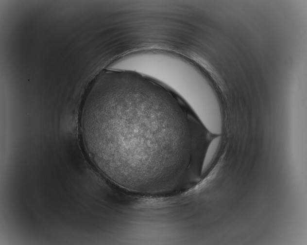 X0000089380977200706291314