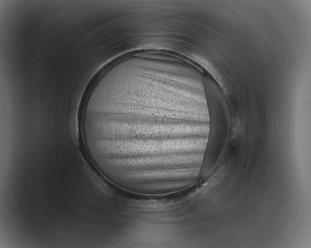 X0000089380980200706291314