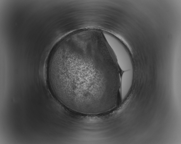X0000089380983200706291313
