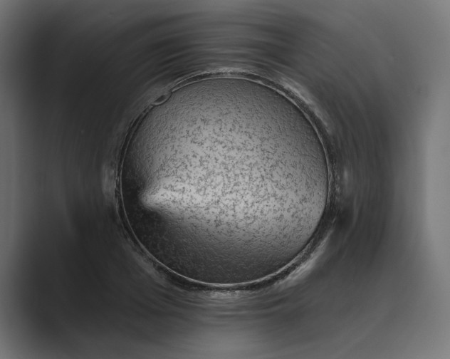 X0000089380985200706291313