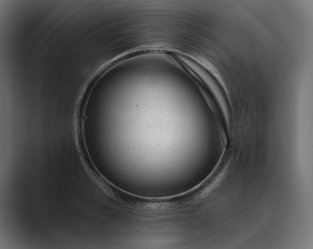 X0000089380989200706291313