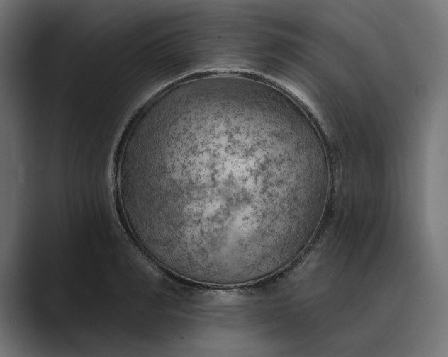 X0000089380990200706291313