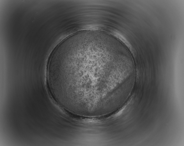 X0000089380994200706291313