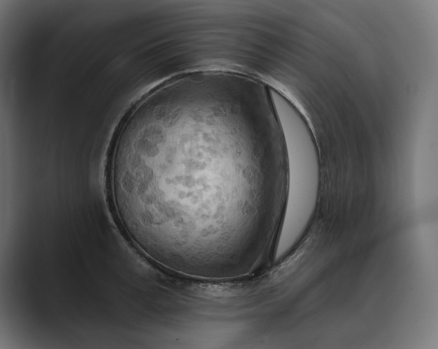 X0000089380995200706291313