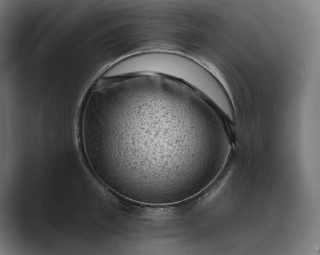 X0000089380997200706291313