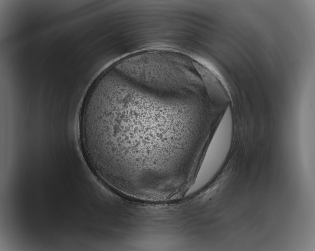 X0000089380999200706291313