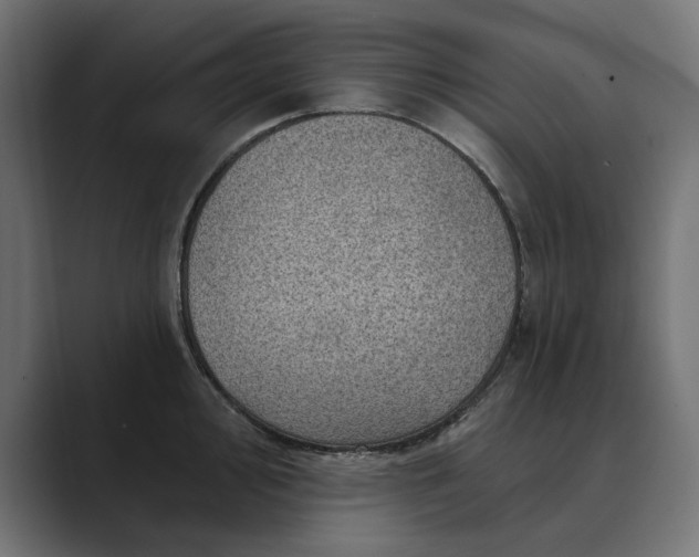 X0000089381000200706291313