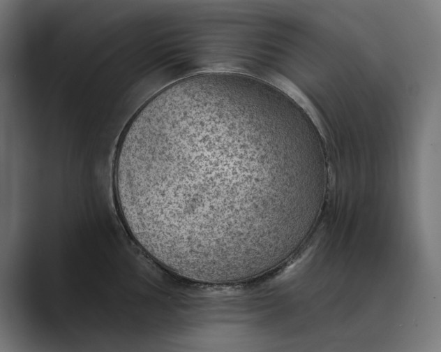 X0000089381002200706291313