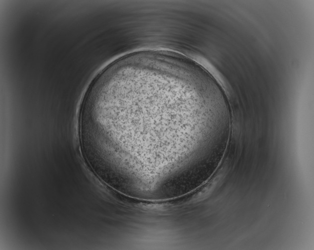 X0000089381004200706291313