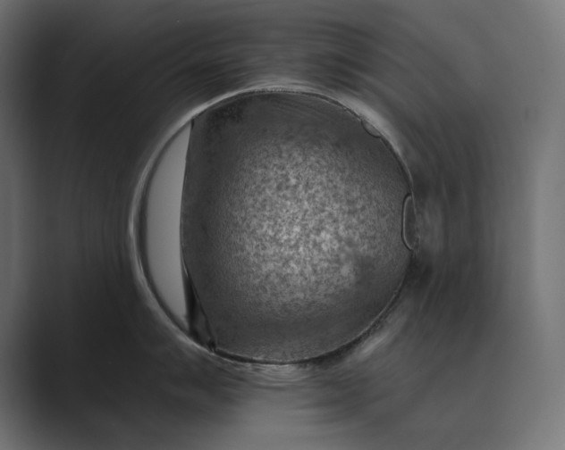X0000089381007200706291313