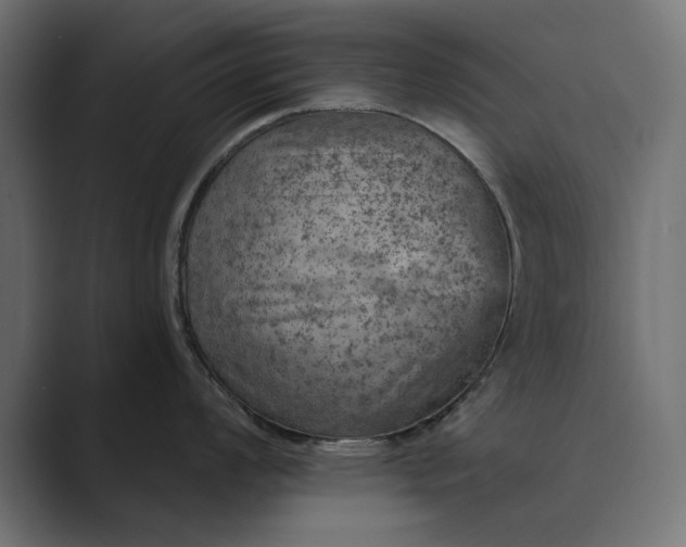 X0000089381008200706291313