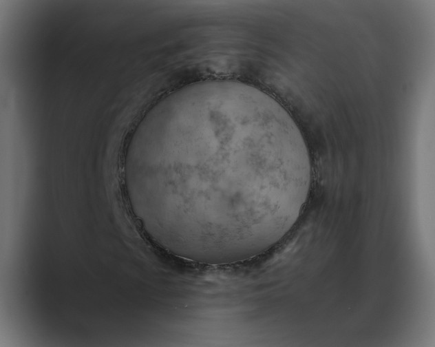 X0000089381009200706291313