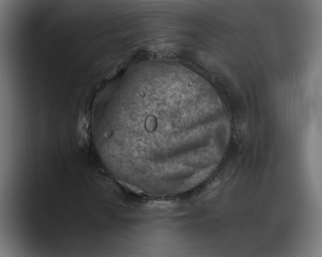 X0000089381010200706291313