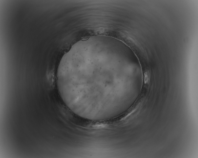 X0000089381011200706291313