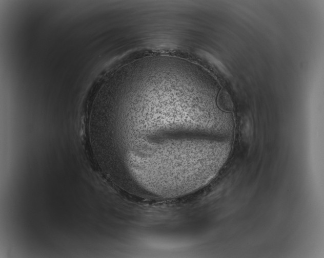 X0000089381016200706291313
