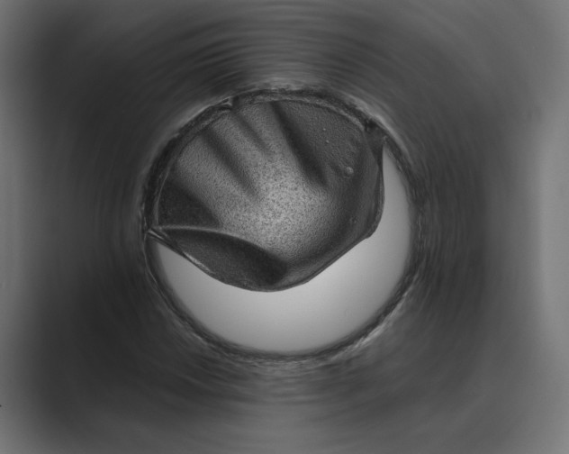 X0000089381018200706291313