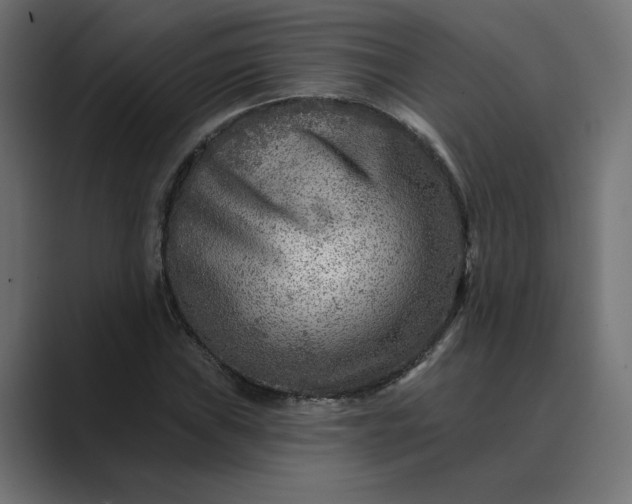 X0000089381019200706291313