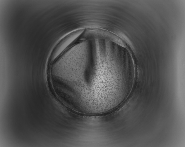 X0000089381020200706291313