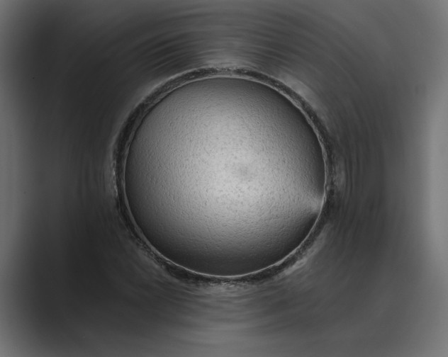 X0000089381022200706291313
