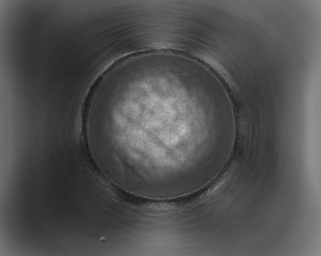 X0000089381023200706291313